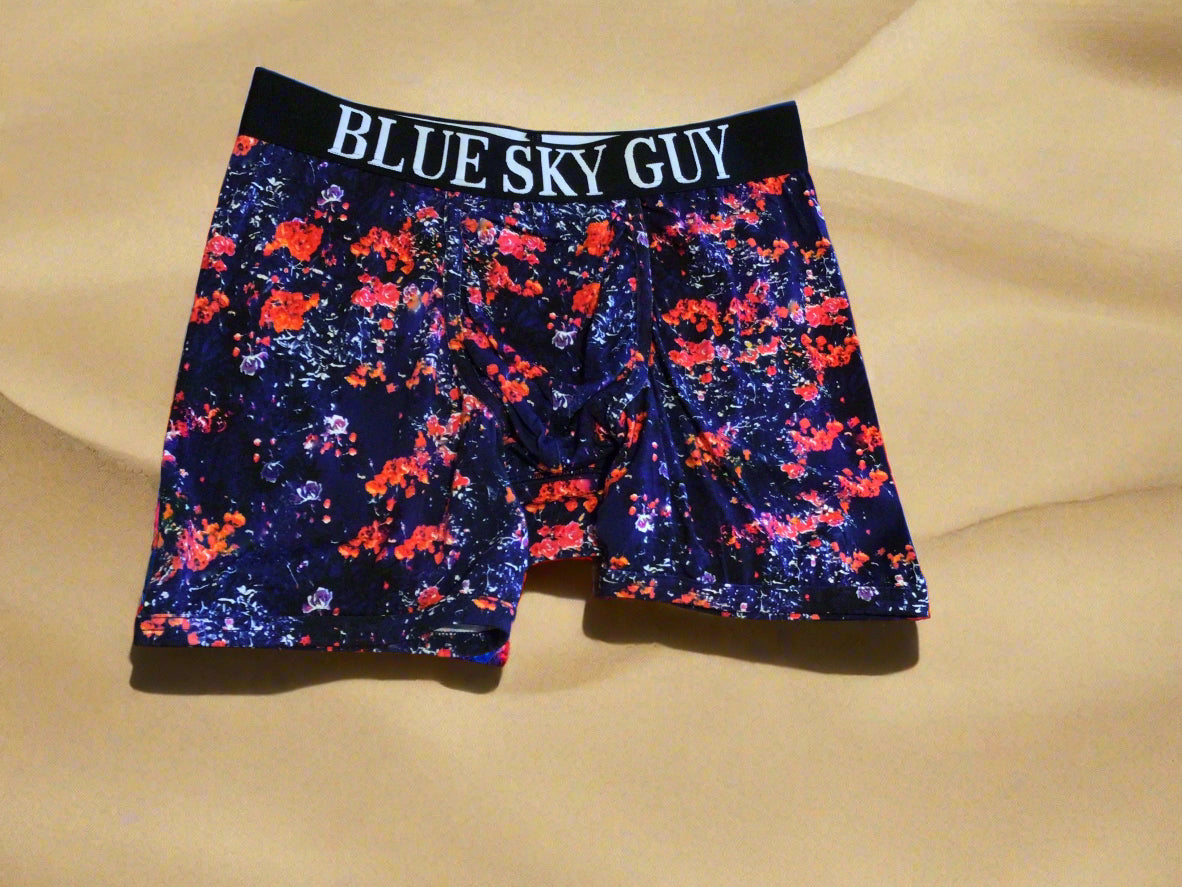 Blue Sky Guy men's boxer briefs - prints