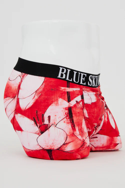 Blue Sky Guy men's boxer briefs - prints