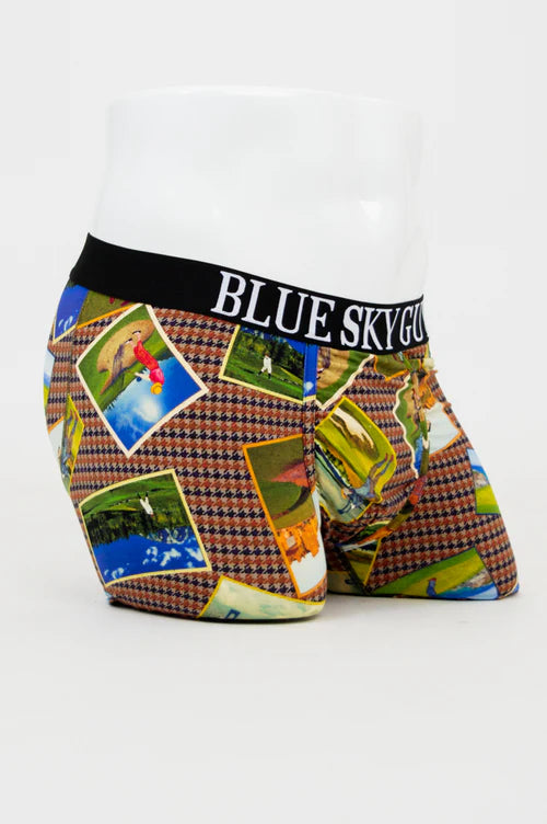 Blue Sky Guy men's boxer briefs - prints