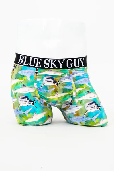 Blue Sky Guy men's boxer briefs - prints